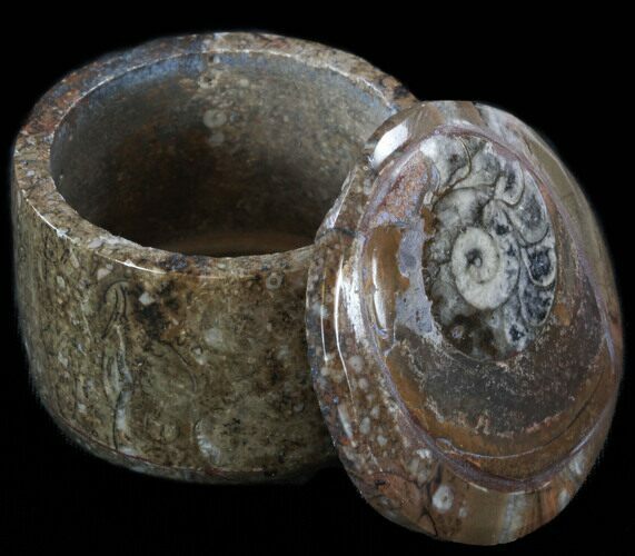 Small Fossil Goniatite Jar (Brown) - Stoneware #35181